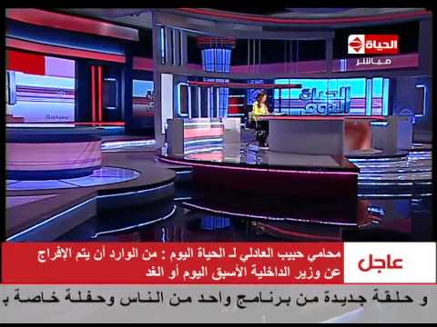 محامي حبيب العادلى يؤكد ثروته لم تتجاوز ستة ملايين جنيهًا