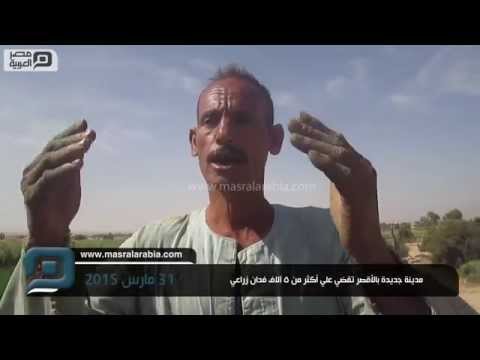 بالفيديو إنشاء مدينة جديدة في الأقصر