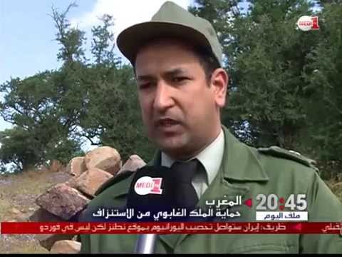 المغرب تكثف حمايتها على الغابات من الاستنزاف