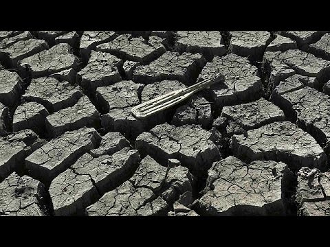 بالفيديو فيورينا تُحمل المدافعين عن البيئة مسؤولية الجفاف في كاليفورنيا