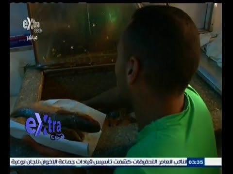 التموين تعلن حالة الطوارئ استعدادا لأعياد شم النسيم