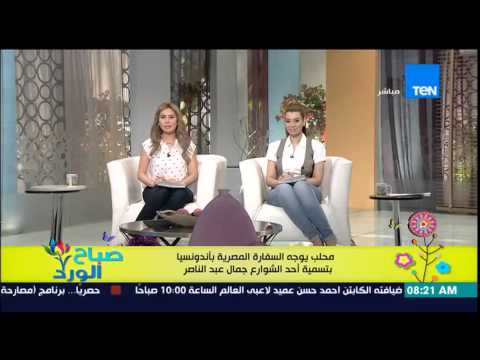 بالفيديو محلب يوجه السفارة في إندونسيا إلى تسمية شارع بـجمال عبد الناصر