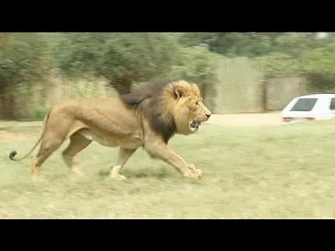 بالفيديو فضائح الفساد داخل الفيفا تطال أمينها العام