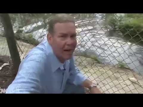 شاهد رجل يحاول تصوير تمساح ضخم عن قُرب