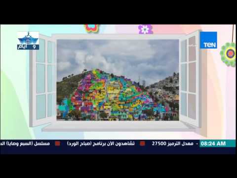 فيديو حكومة المكسيك تطالب فناني الشوارع بتلوين 209 منزلًا