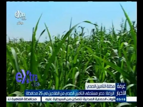 شاهد الزراعة تحصر مستحقي التأمين الصحي من الفلاحين