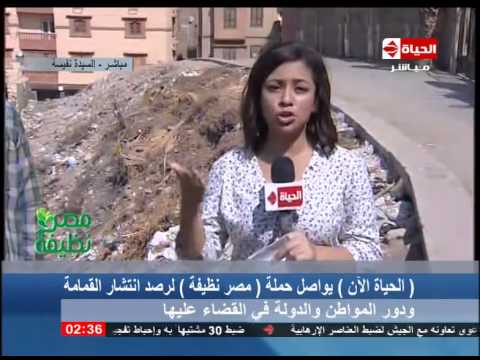 حملة مصر نظيفة تواصل مجهوداتها