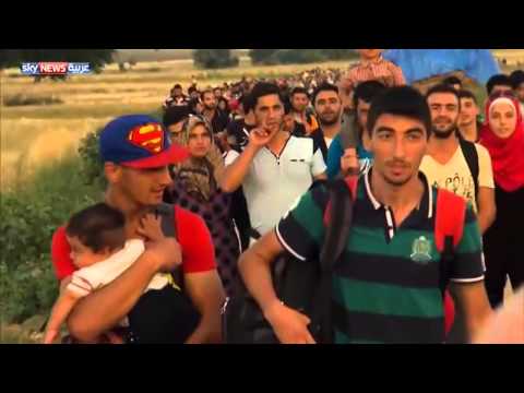 شاهد اللاجئون ورحلة البحث عن بقايا حياة