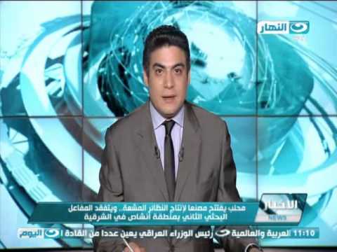 شاهد السجن المشدد 3 أعوام للمتهمين في قضية خلية الماريوت
