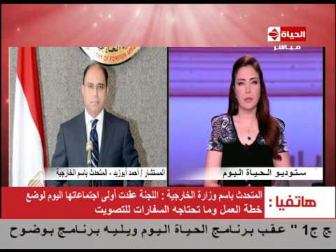 وزارة الخارجية تبدأ في استعداداتها لتصويت المصريين بالخارج