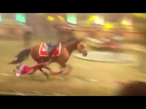 شاهد حصان هائج يسحل لاعبة سيرك حتى الموت