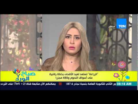 الزراعة تستعد لعيد الأضحى بخطة رقابية على أسواق اللحوم