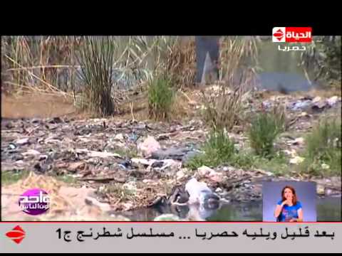 شاهد تقرير صحافي من قرية عمريط أبو حماد في الشرقية