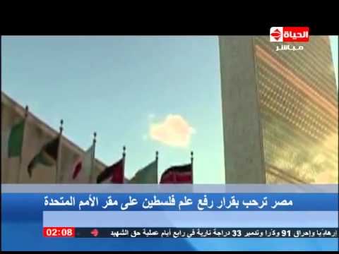 شاهد مصر ترحب برفع علم فلسطين على مقر الأمم المتحدة
