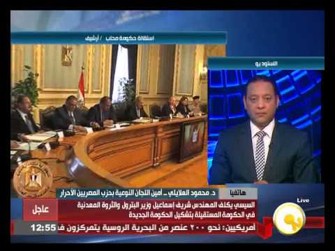 شاهد العلايلي يرى أن استقالة الحكومة لن تؤثر على الانتخابات