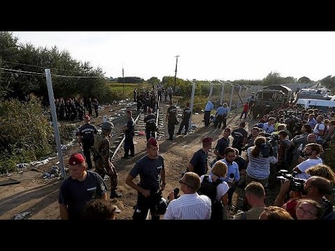 شاهد المجر تنهي سياجها الحدودي استعدادًا لتجريم الهجرة غير النظامية