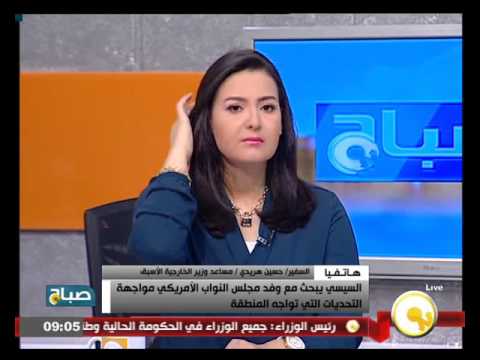 شاهد هريدي يكشف أن النواب الأميركيين جاؤوا لمعرفة الأوضاع في مصر