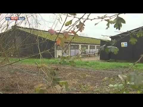 دول أوروبيّة تتخذ إجراءات لمواجهة أنفلونزا الطيور