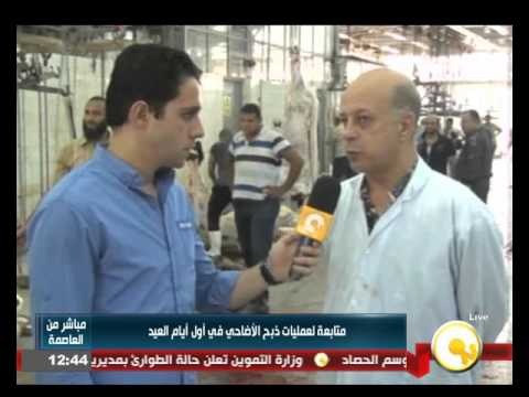 شاهدمتابعة لعمليات ذبح الأضاحي