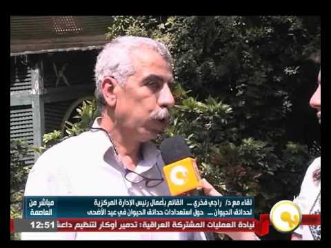 شاهد استعدادات حديقة حيوان الجيزة في عيد الأضحى