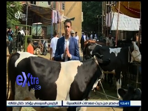 شاهد أهم المعلومات عن الثروة الحيوانية