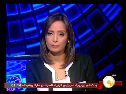 شاهدعاطف الغامري يؤكد أن الرؤية المصرية تحمل العالم مسؤولية مواجهة التحديات