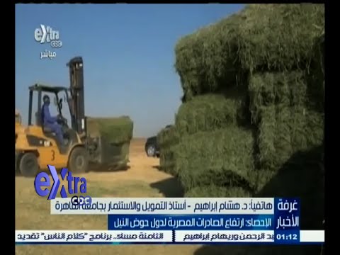 جهاز الإحصاء  40 ‪ تراجع في صادرات مصر للدول العربية 