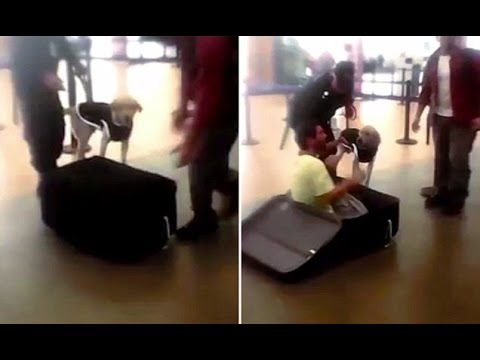 شاهد رجل يحاول الهروب داخل حقيبة سفر
