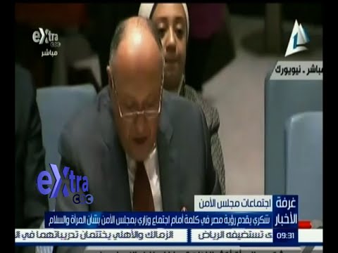 شاهد شكري يقدم رؤية مصر في مجلس الأمن بشأن المرأة والسلام