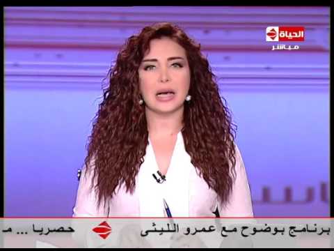 شاهد تفاصيل معركة المنصورة الجوية يوم 14 تشرين الأول