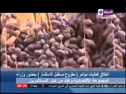 شاهد انطلاق فعاليات مؤتمر مطروح مستقبل الاستثمار