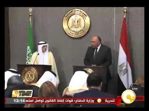 شاهد شكري يؤكد استمرار التنسيق حول القضية السورية