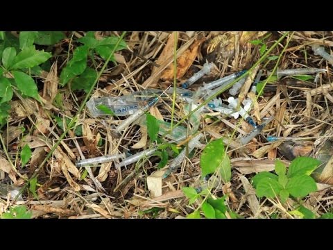 شاهد ميليشيات دينية تخوض حربًا ضد المواد المخدرة