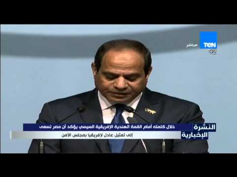 السيسي يؤكد أن مصر تسعى إلى تمثيل عادل لإفريقيا في مجلس الأمن