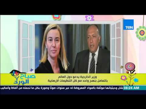 بالفيديو وزير الخارجية يدعو العالم للتعامل مع المنظمات الإرهابية بنفس الفكر