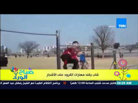 شاهد شاب يقلد القرود بطريقة احترافية