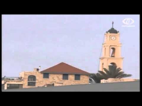 شاهد قوات الاحتلال تدهم ميناء يافا وتصادر أسماك الصيادين الفلسطينيين