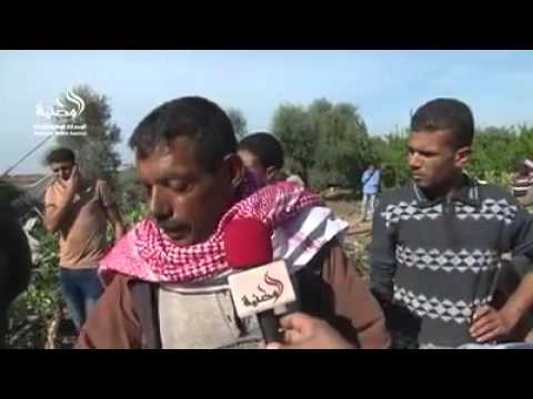 سلطة الأراضي تبدأ هدم منازل المواطنين في المحلول