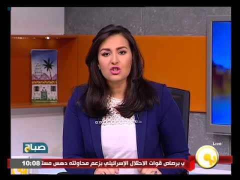 شاهد سامح شكري يسلم رئيس وزراء اليابان رسالة