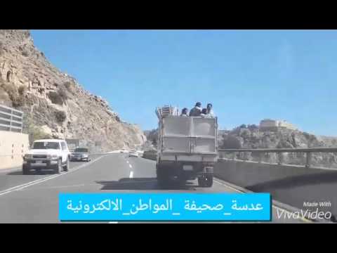 بالفيديو عملية نقل خطيرة للعمالة في عربة نقل بمنطقة عسير