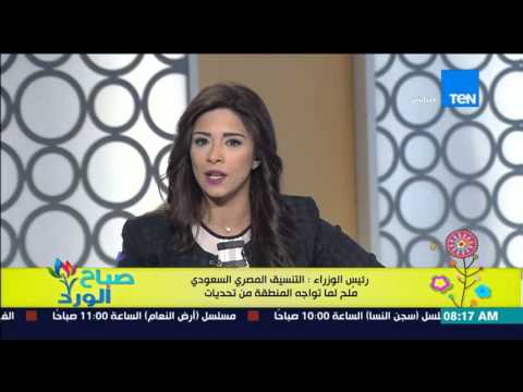 شاهد التنسيق المصري السعودي ملح لما تواجه المنطقة