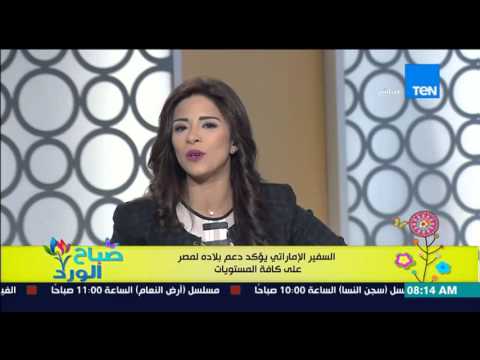 شاهد السفير الإماراتي يؤكد دعم بلاده المتواصل لمصر