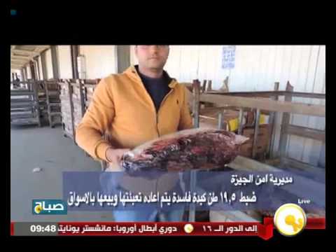 مباحث التموين تضبط 195 طن كبدة فاسدة