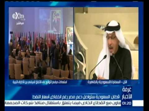 السفير السعودي في القاهرة يوضح وحدة هدف مصر والمملكة فيما يتعلق بالأزمة السورية