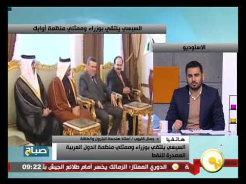 بالفيديو الرئيس السيسي يلتقي بوزراء وممثلي منظمة الدول العربية المصدرة للنفط