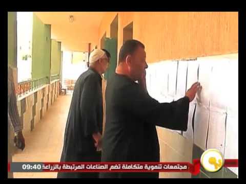 فيديو تقرير بعثة جامعة الدول العربية بشأن الانتخابات البرلمانية