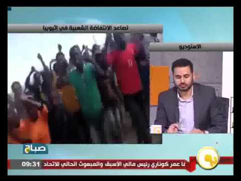 الخارجية المصرية تؤكد أن لاضطرابات في إثيوبيا هي شأن داخلي