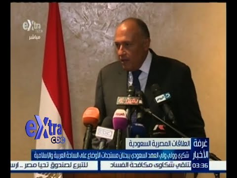شكري وولي ولي العهد السعودي يبحثان مستجدات الأوضاع على الساحة العربية
