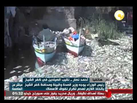 أحمد نصار نفوق الأسماك في المحافظة نتيجة إزالة الأقفاص السمكية