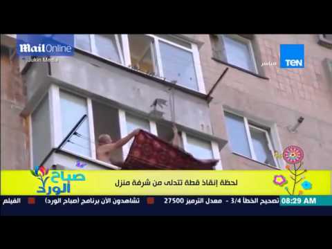 بالفيديو لحظة إنقاذ قطة تتدلى من شرفة منزل
